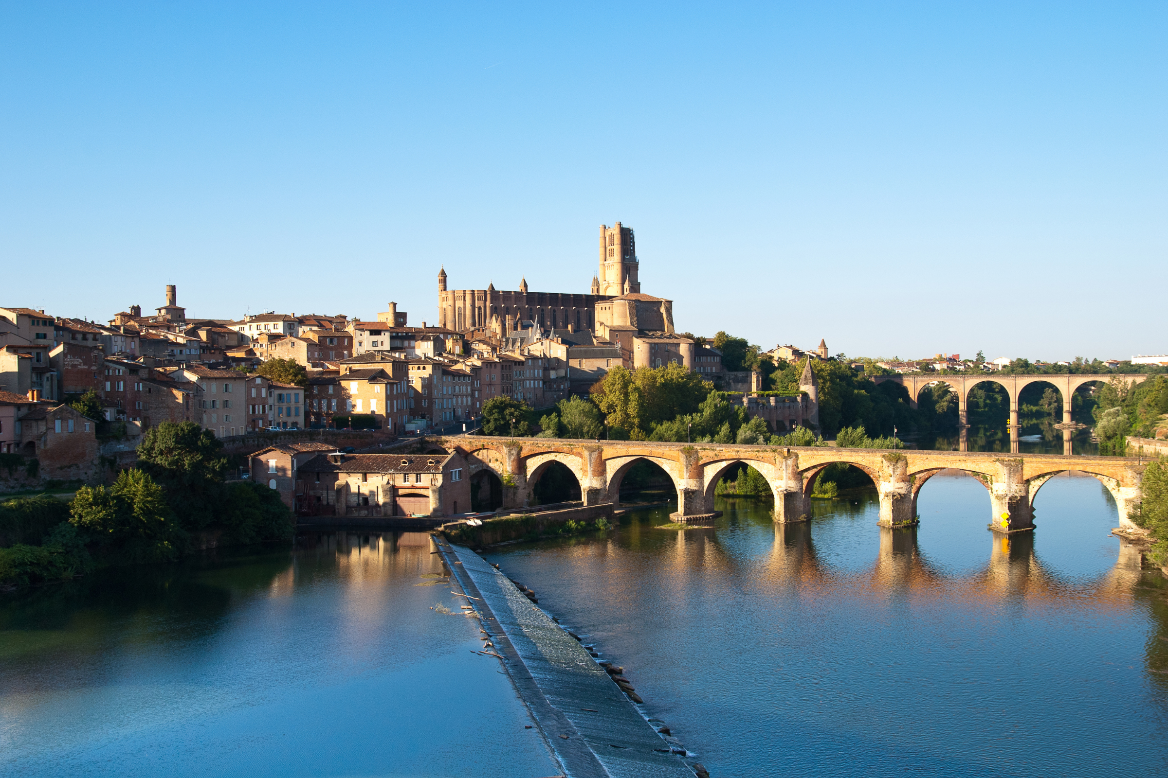 albi (3).webp
